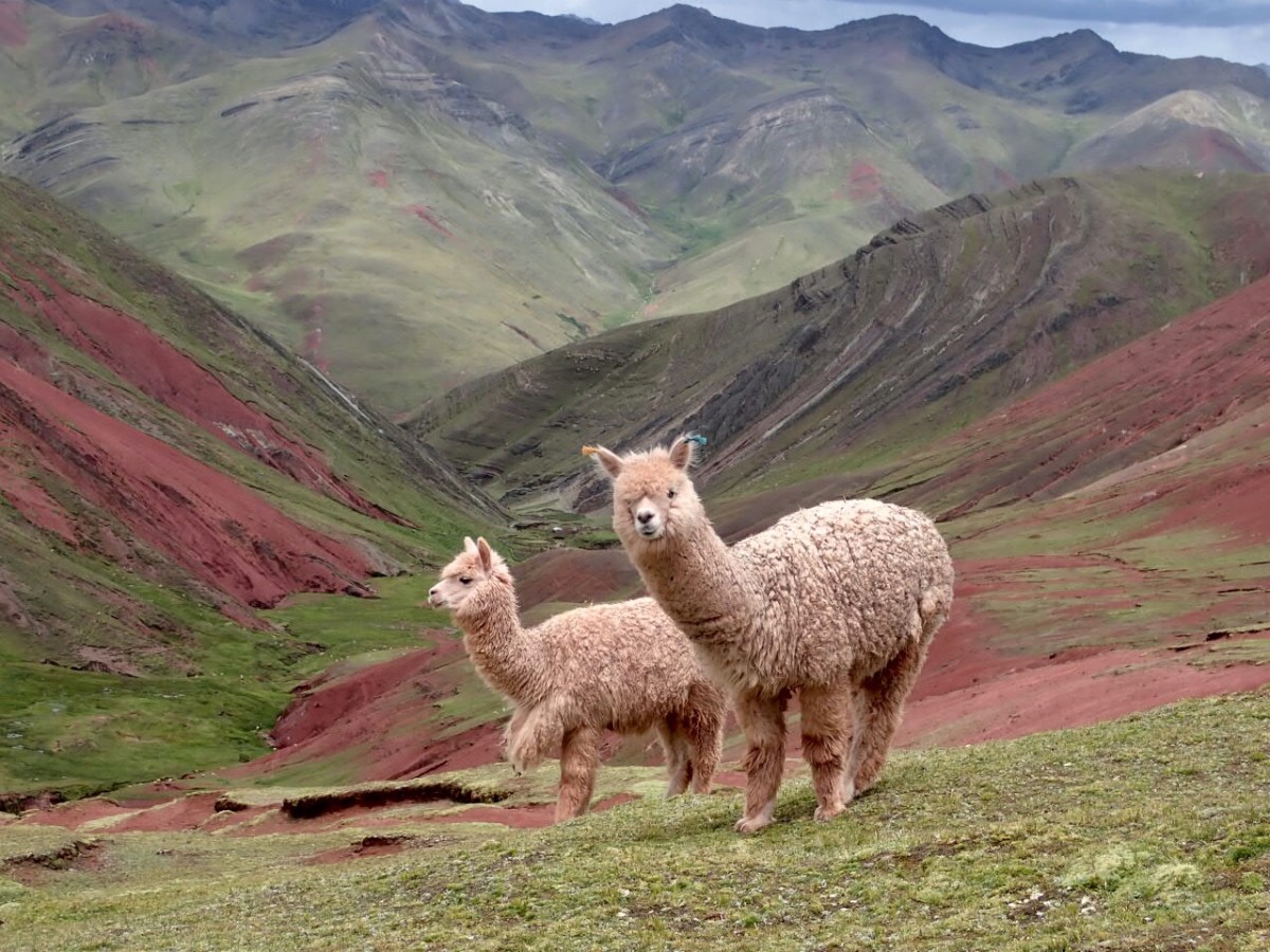 13. To Cusco: Capital of the Incas