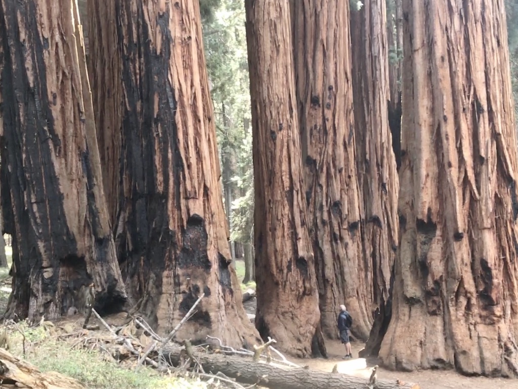 T8wJCGuxQ8+6ESaplic00Q_thumb_25e7