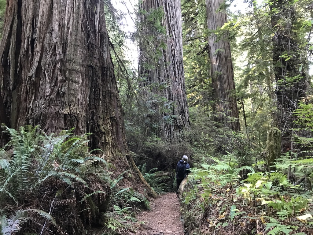 UNADJUSTEDNONRAW_thumb_246c