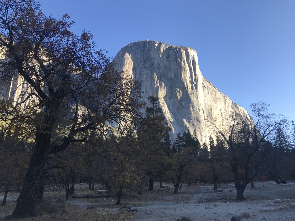 UNADJUSTEDNONRAW_thumb_24f2