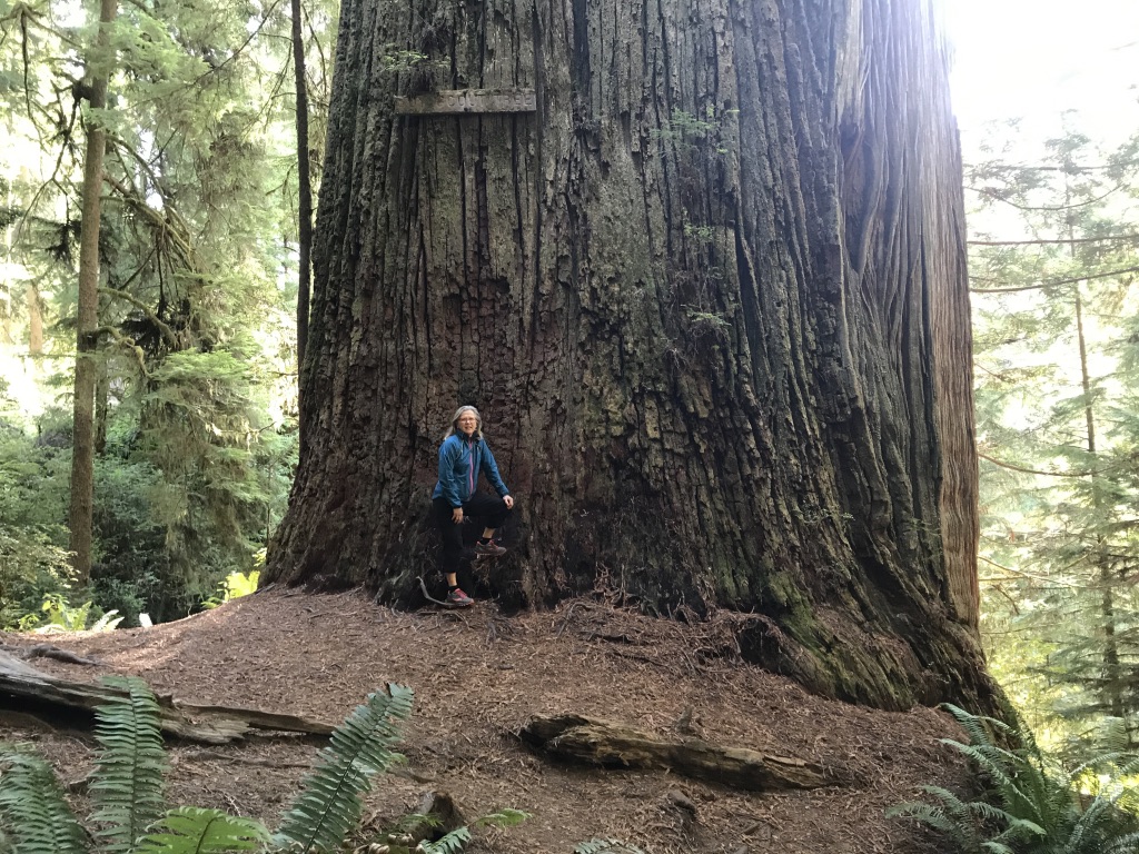 UNADJUSTEDNONRAW_thumb_2500