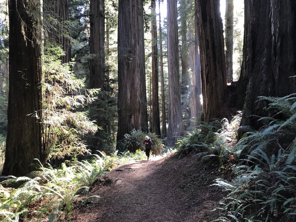 UNADJUSTEDNONRAW_thumb_2518