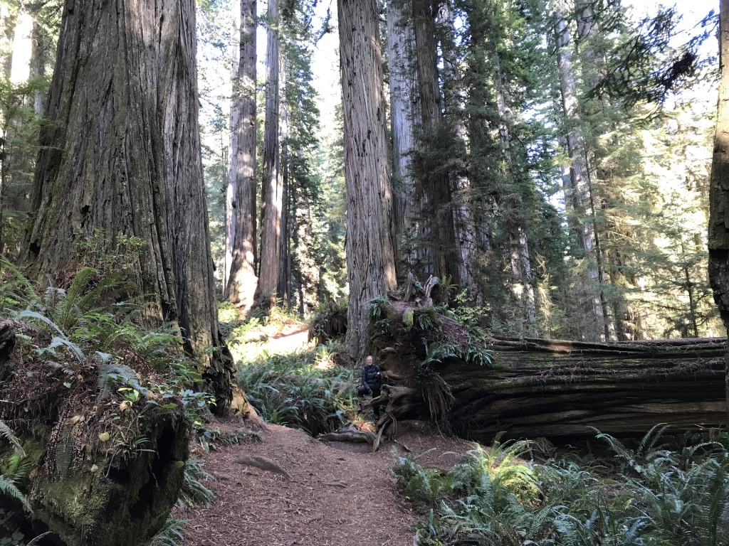 UNADJUSTEDNONRAW_thumb_251b