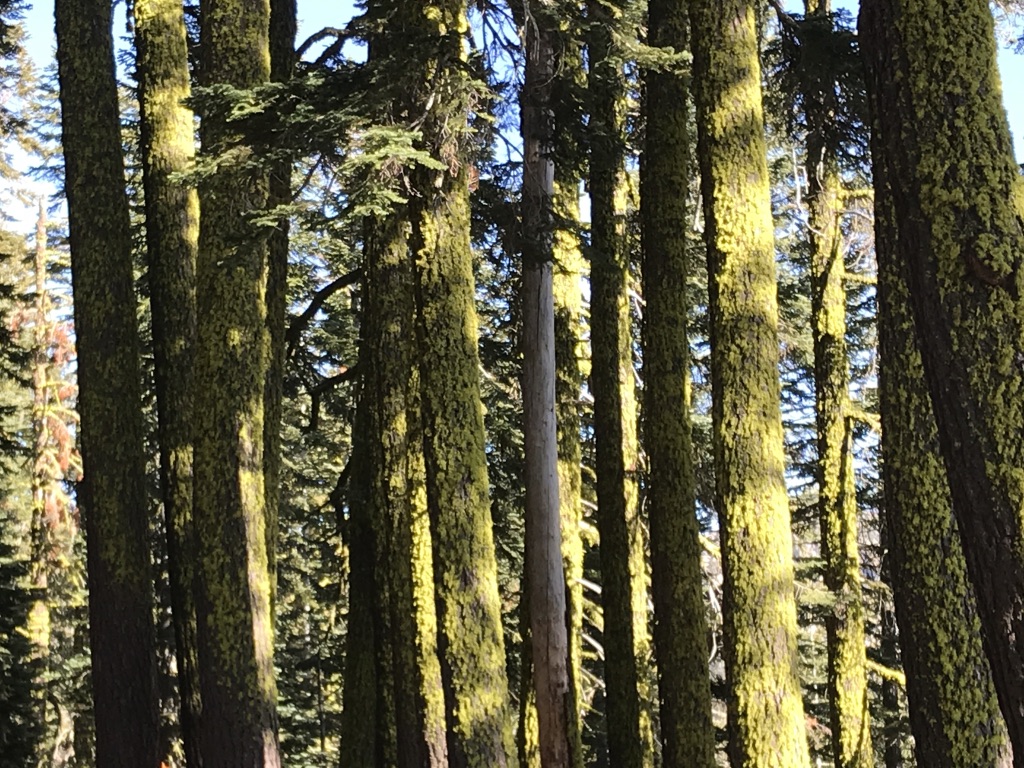 UNADJUSTEDNONRAW_thumb_251e