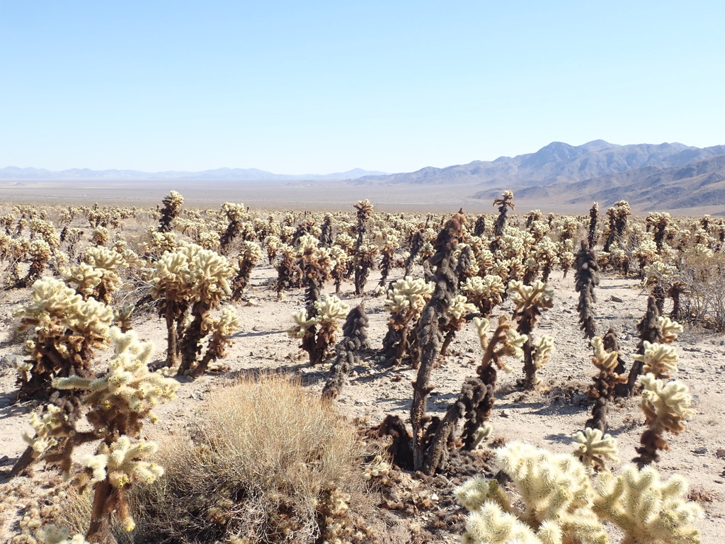 UNADJUSTEDNONRAW_thumb_2584