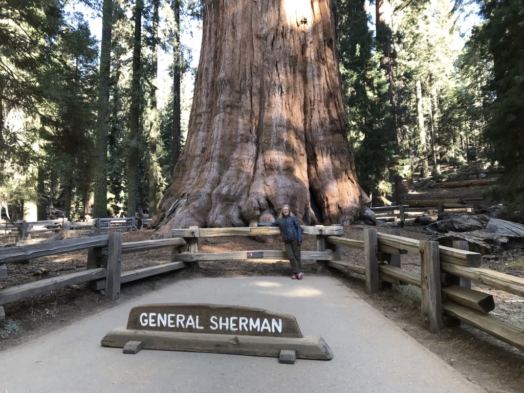 UNADJUSTEDNONRAW_thumb_25e2