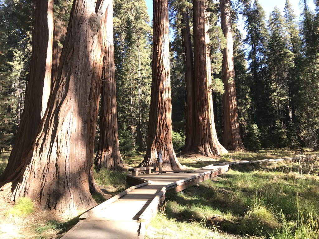 UNADJUSTEDNONRAW_thumb_2616