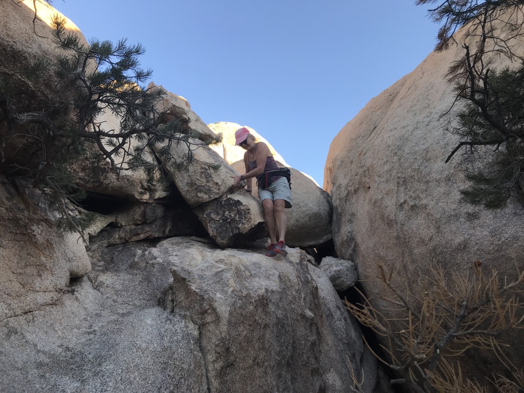 UNADJUSTEDNONRAW_thumb_2631