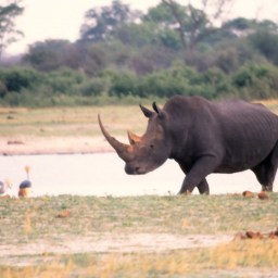Tales from Africa: Dirt roads across Lesotho and the Okavango Delta by dugout