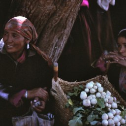 The Vale of Kashmir and Hiking to Ladakh (1985)