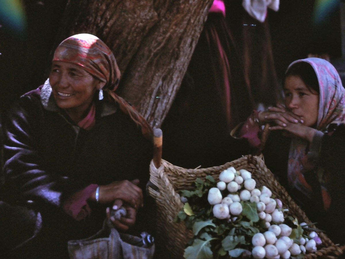 The Vale of Kashmir and Hiking to Ladakh (1985)