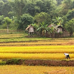 4. Laos – To the border and beyond