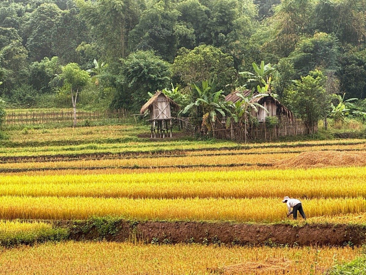 4. Laos – To the border and beyond