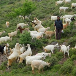 2. Turkey:  Istanbul and and Finally Underway (April, 2015)