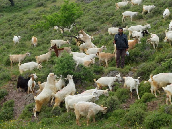 2. Turkey:  Istanbul and and Finally Underway (April, 2015)