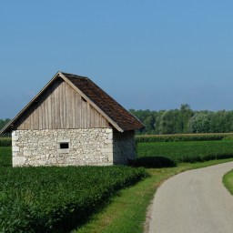 11. The Speed of Soul & Attacked by a Bear (of all things!)