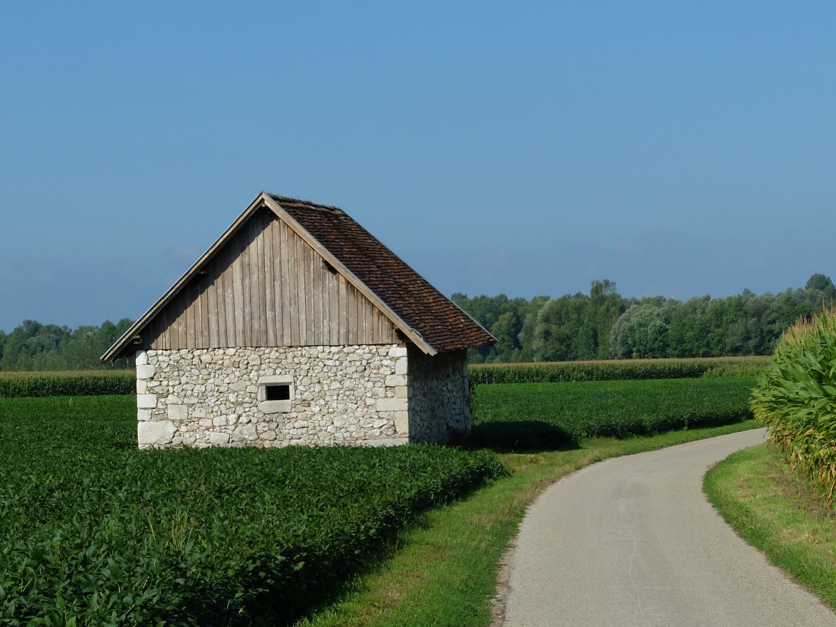 11. The Speed of Soul & Attacked by a Bear (of all things!)